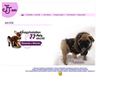 http://jj-pets.hu ismertető oldala
